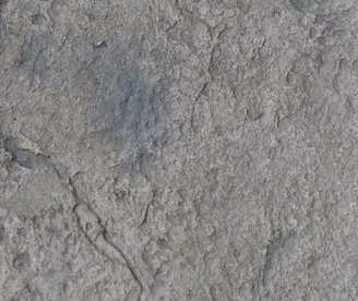 Gray, textured stone surface with cracks and rough edges.