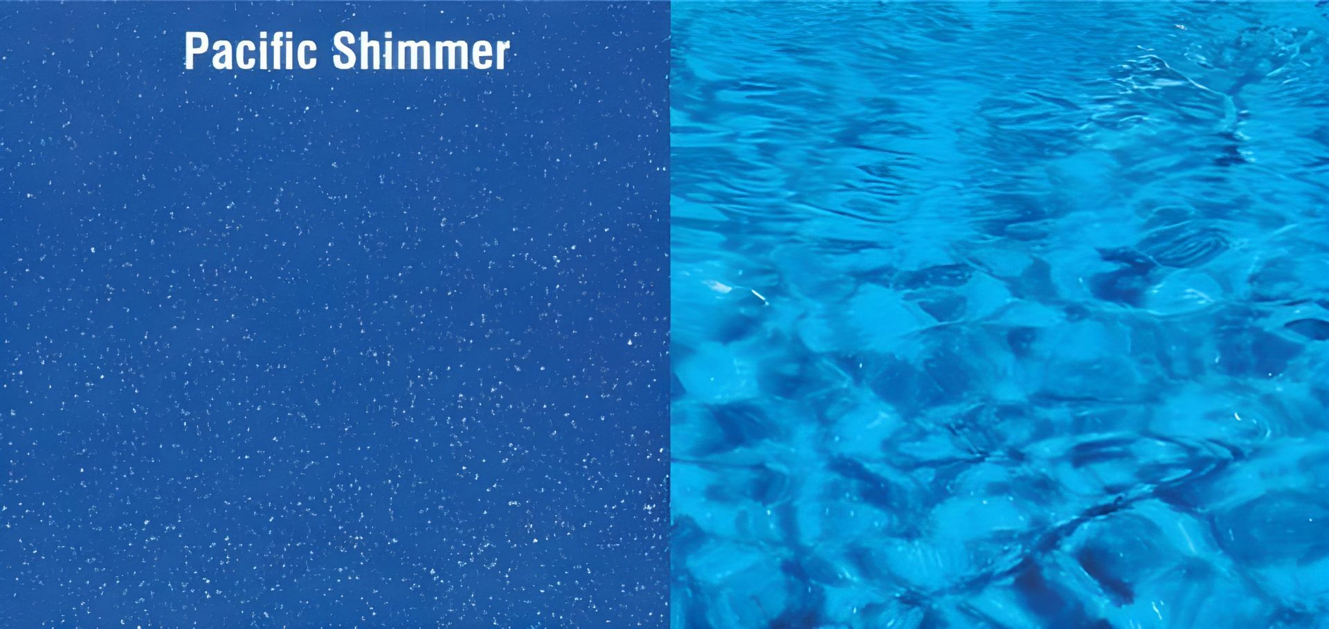 A Picture of a Pacific Shimmer and a Picture of a Swimming Pool — SJ Pools and Concreting in Dubbo, NSW