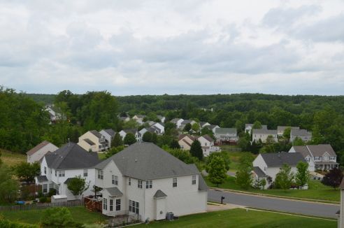 Suburban neighborhood with houses and lush green trees under a cloudy sky.