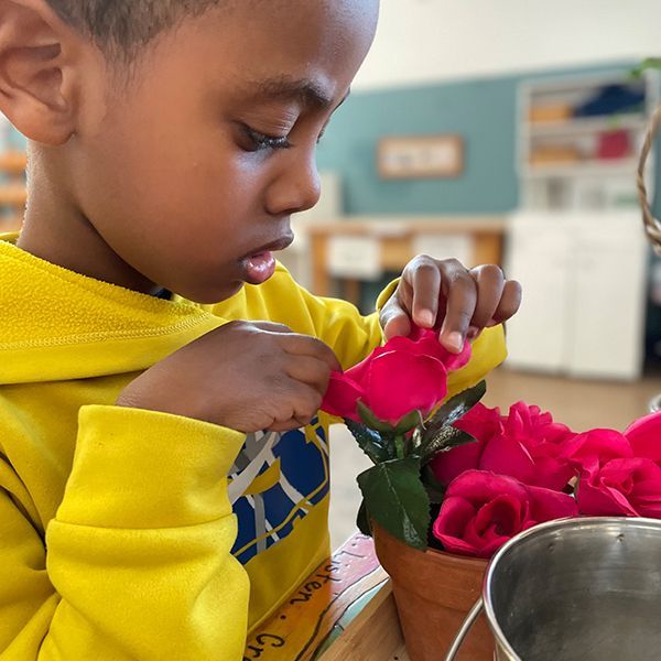 montessori child arranging flowers