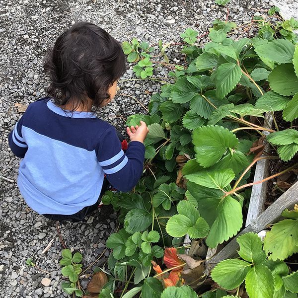 montessori toddler in the garden exploring