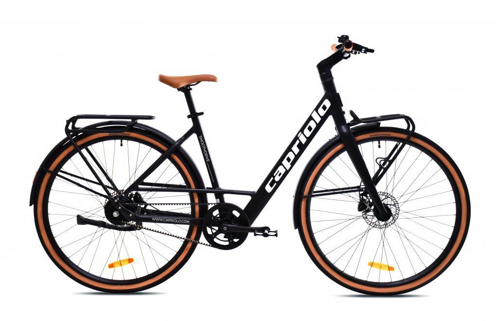 Una bicicletta elettrica verde con portapacchi posteriore su sfondo bianco.