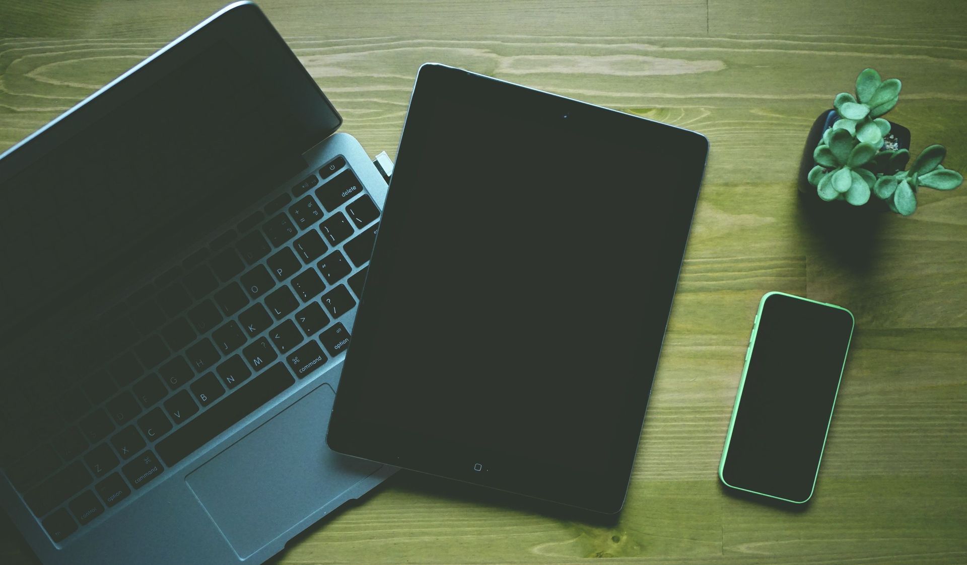 Laptop, Tablet und Smartphone nebeneinander auf einem Holztisch, daneben eine kleine Pflanze