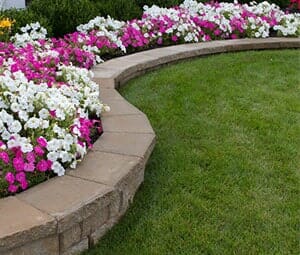White and Pink Flowers — Landscaping Services in West Lawn, PA