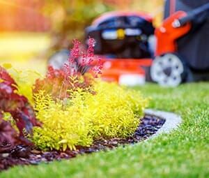 Green and Red Plant — Landscaping Services in West Lawn, PA