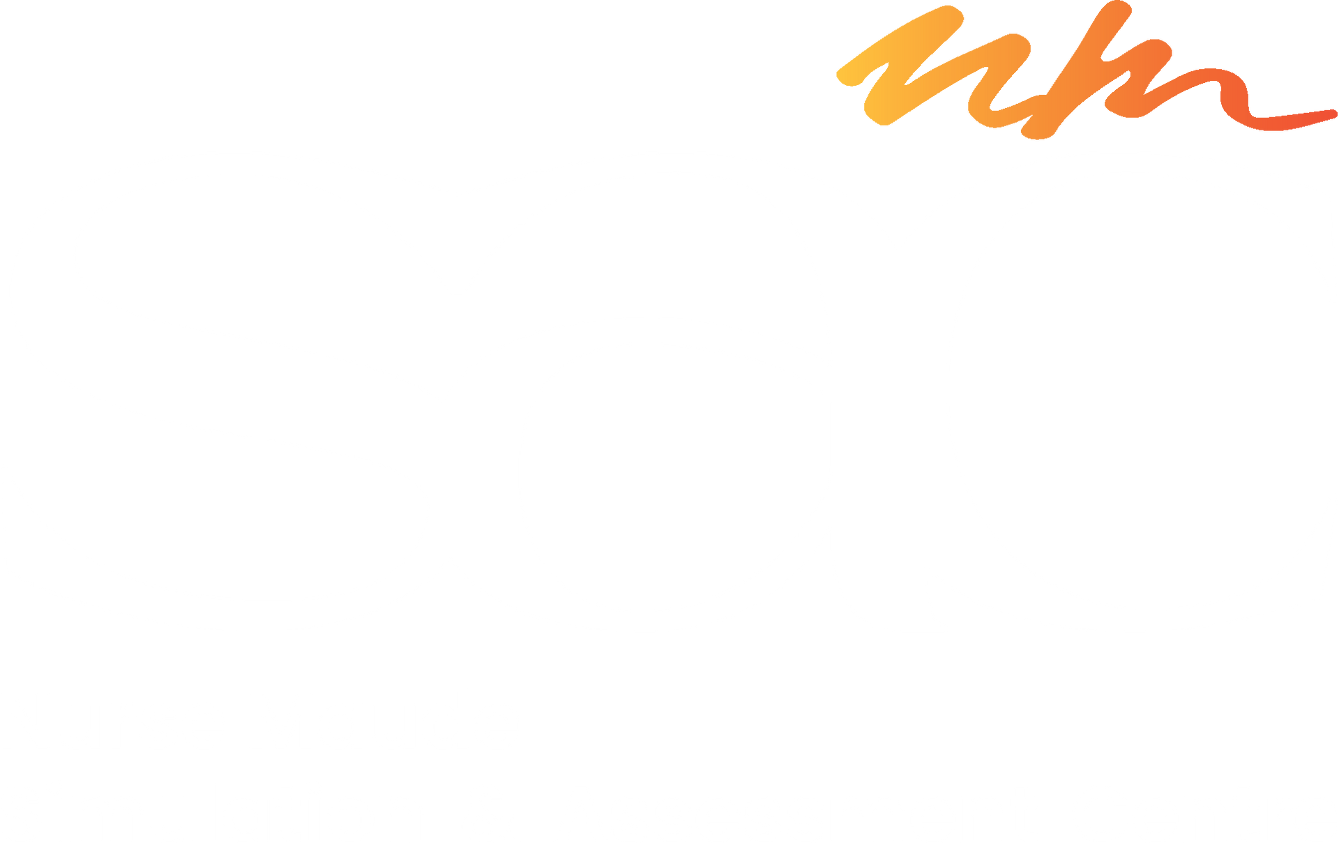 NMSAC Logo