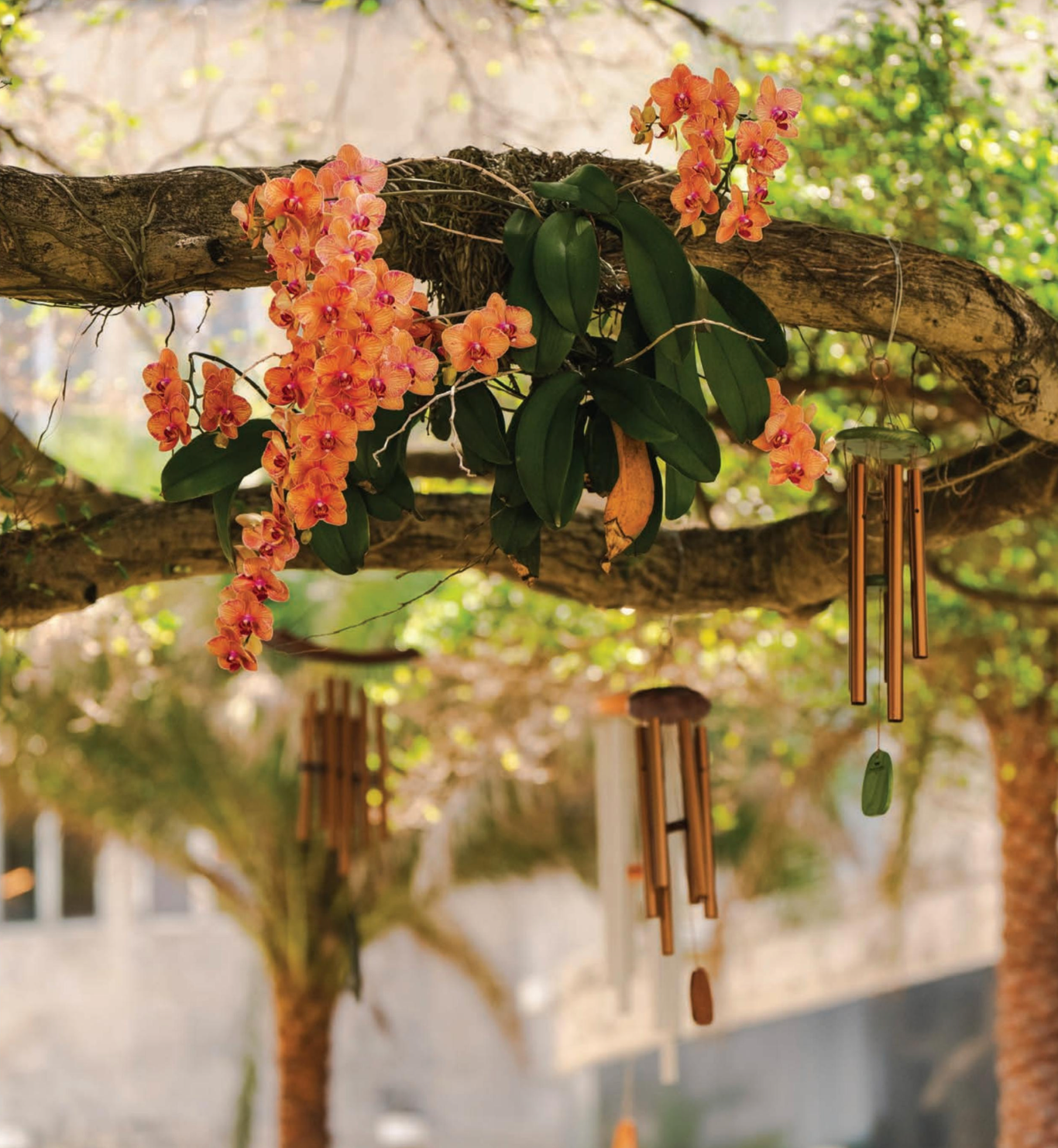 A tree branch with flowers and wind chimes hanging from it