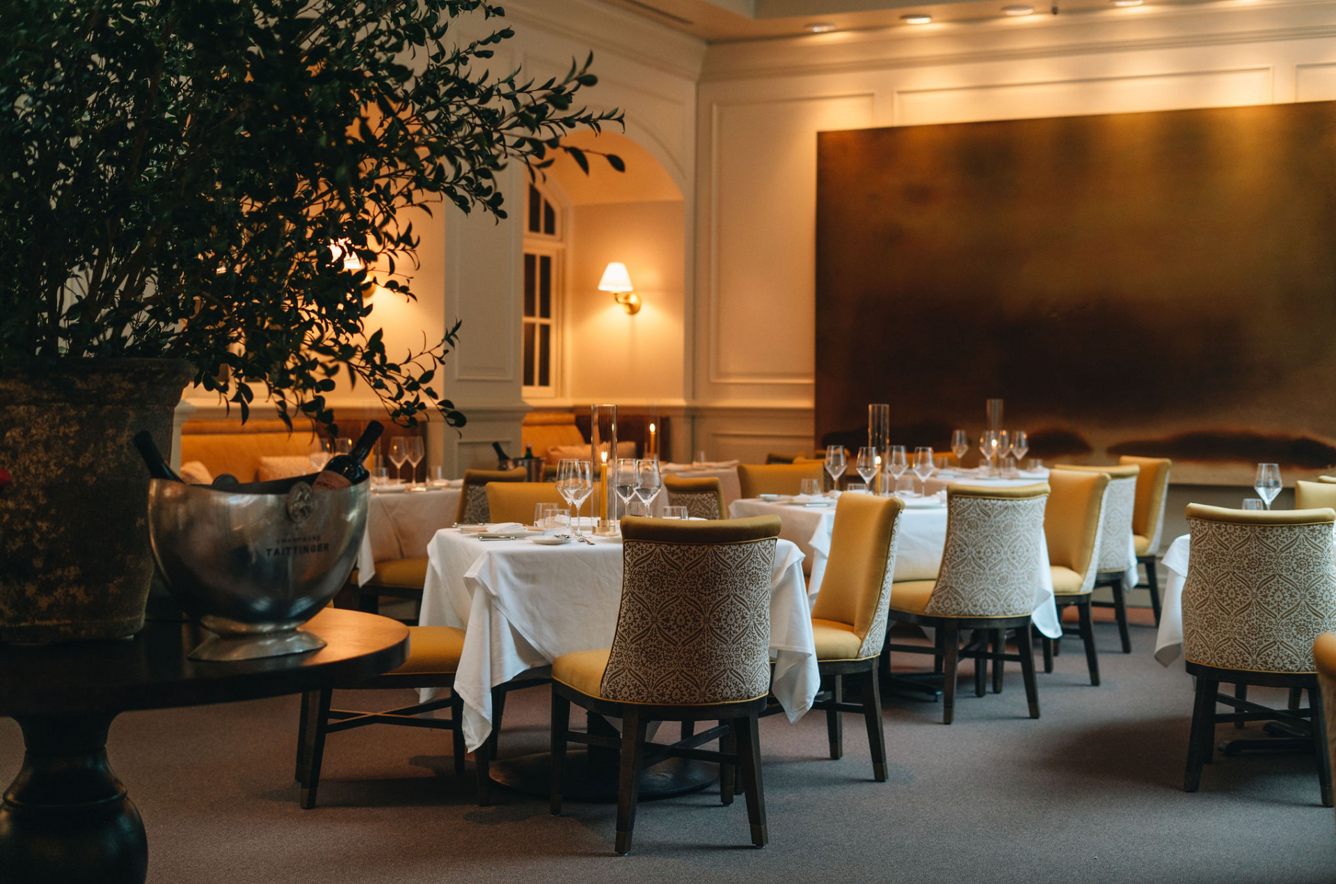 A dining room with tables and chairs and a tree in the middle