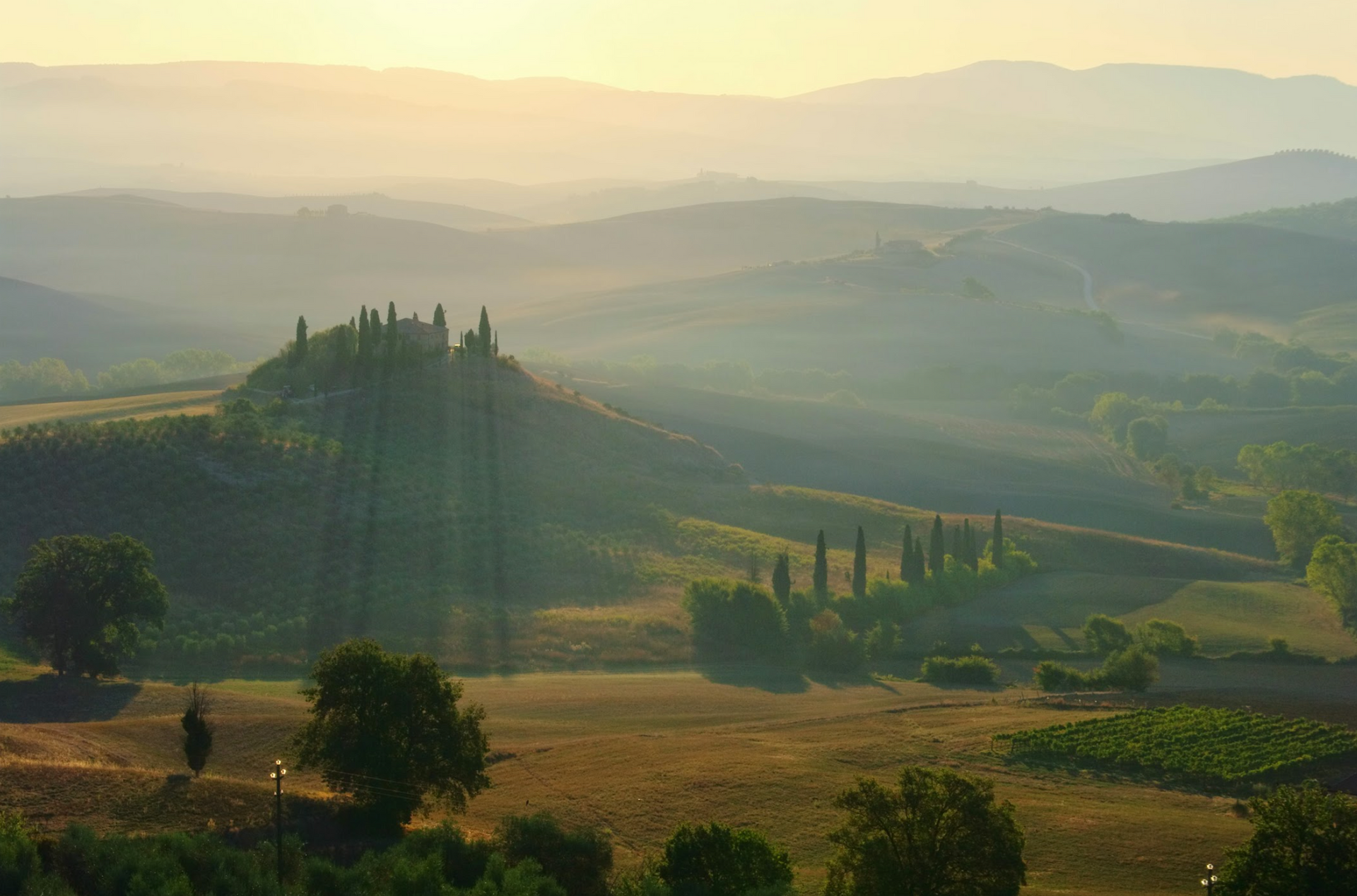 A landscape of a valley with trees and mountains in the background at sunset.