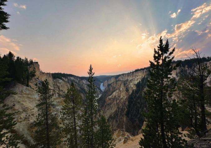 A view of a canyon with trees in the foreground and a sunset in the background.