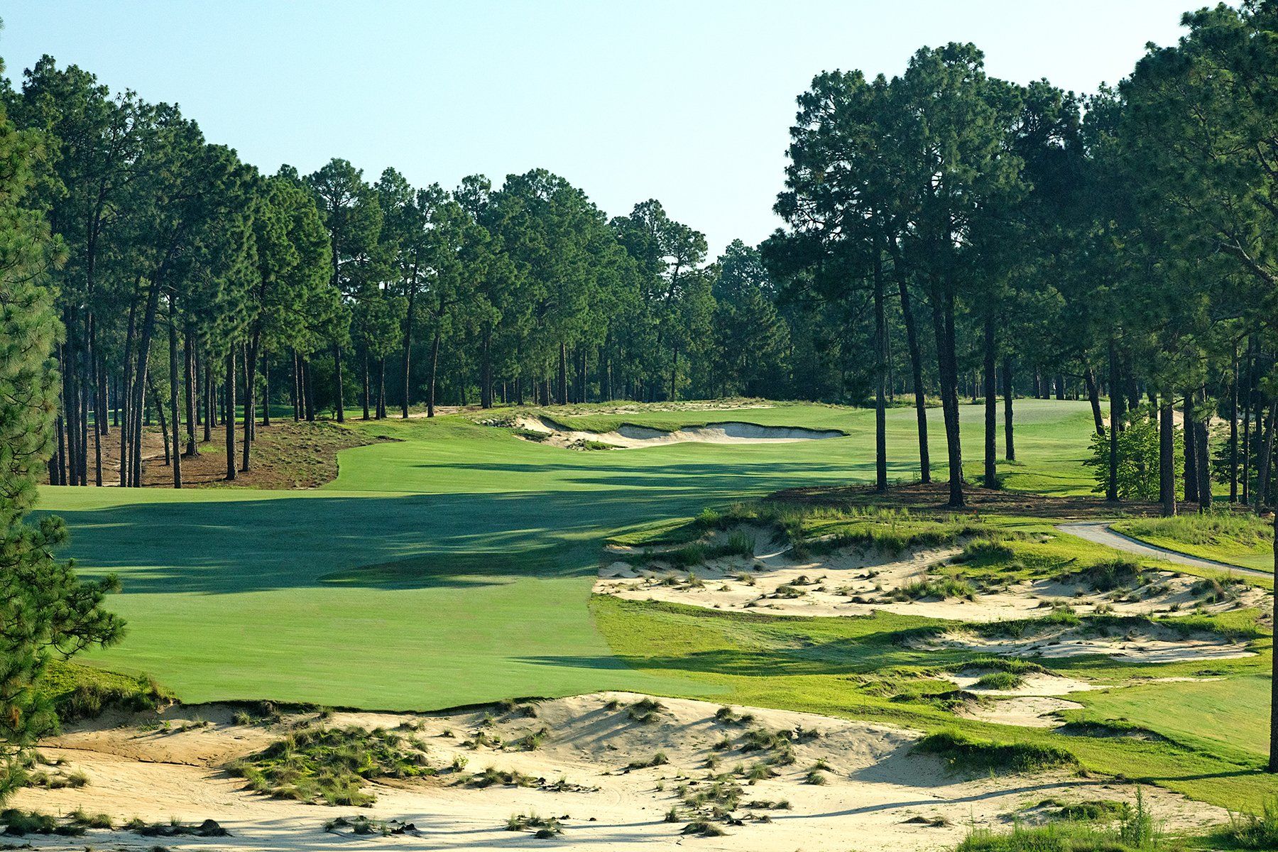 A golf course surrounded by trees and sand on a sunny day