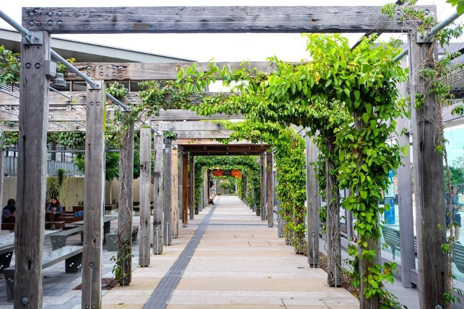 A Wooden Walkway With Plants Growing on It — BS Crane Truck and Trailer Hire In Eumundi, QLD