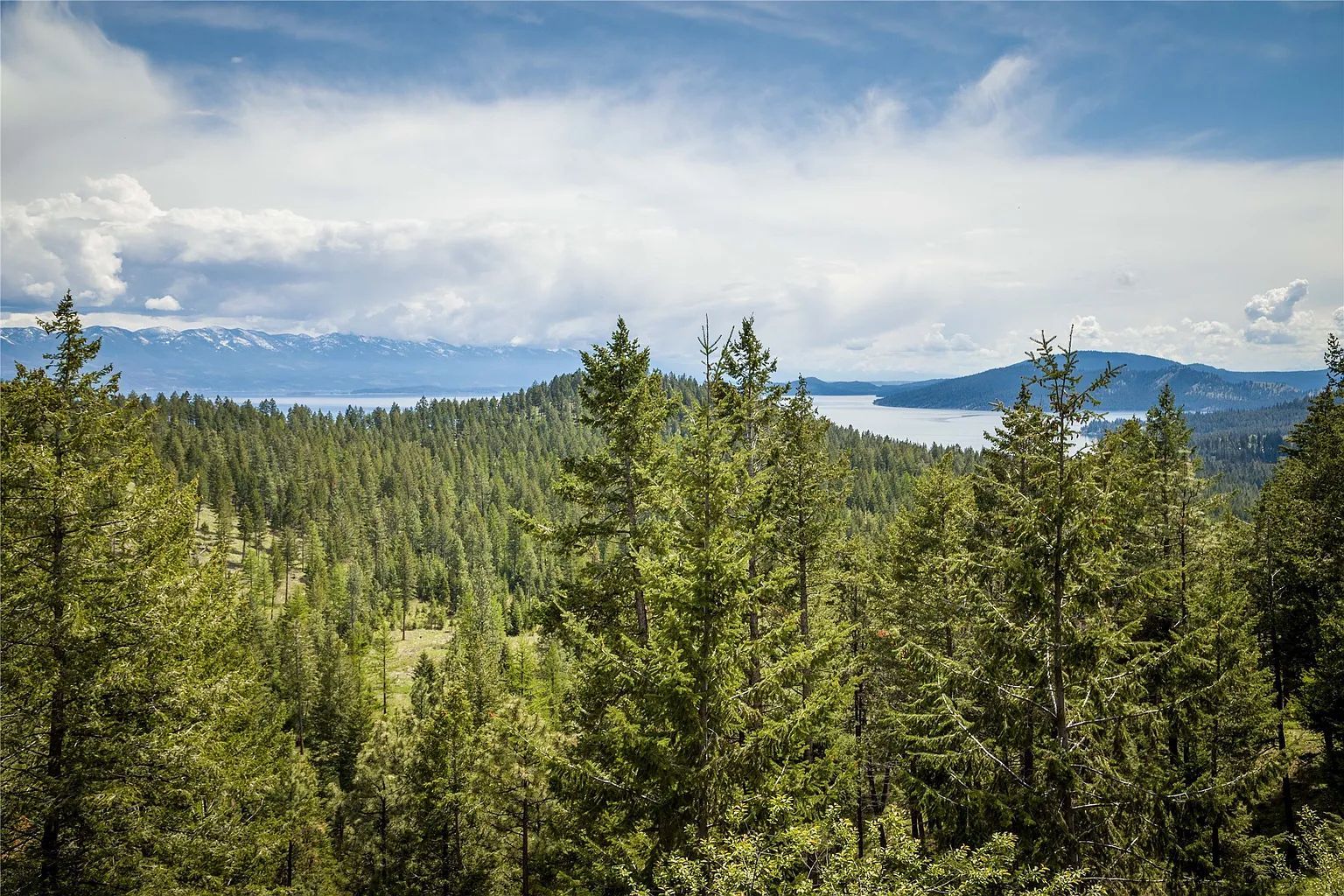 Breathtaking mountain and forest view from The Ridge lodge, a premier wedding venue near Glacier National Park.