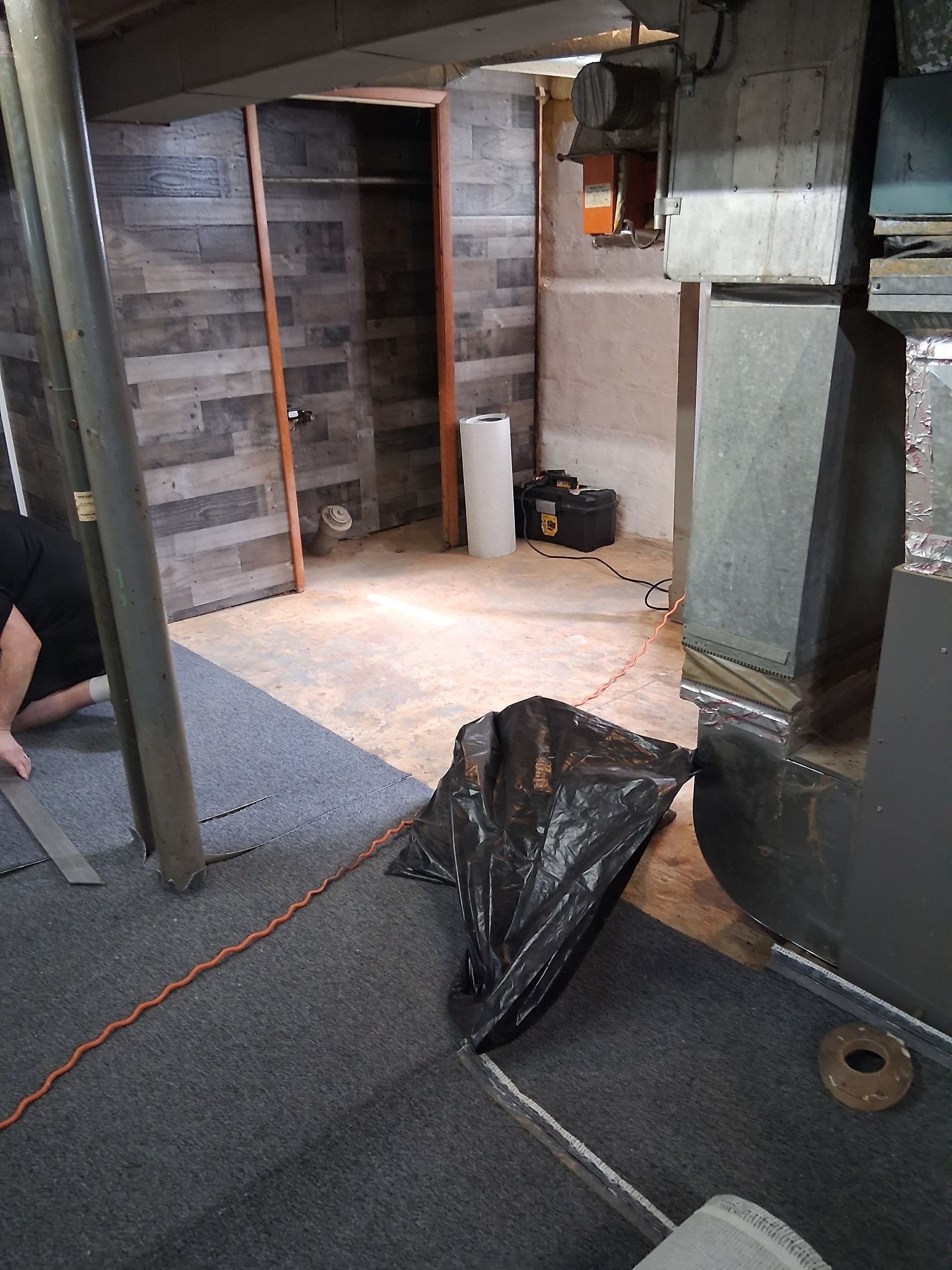 Basement with gray flooring, wooden walls, and furnace. Someone kneels on carpet.