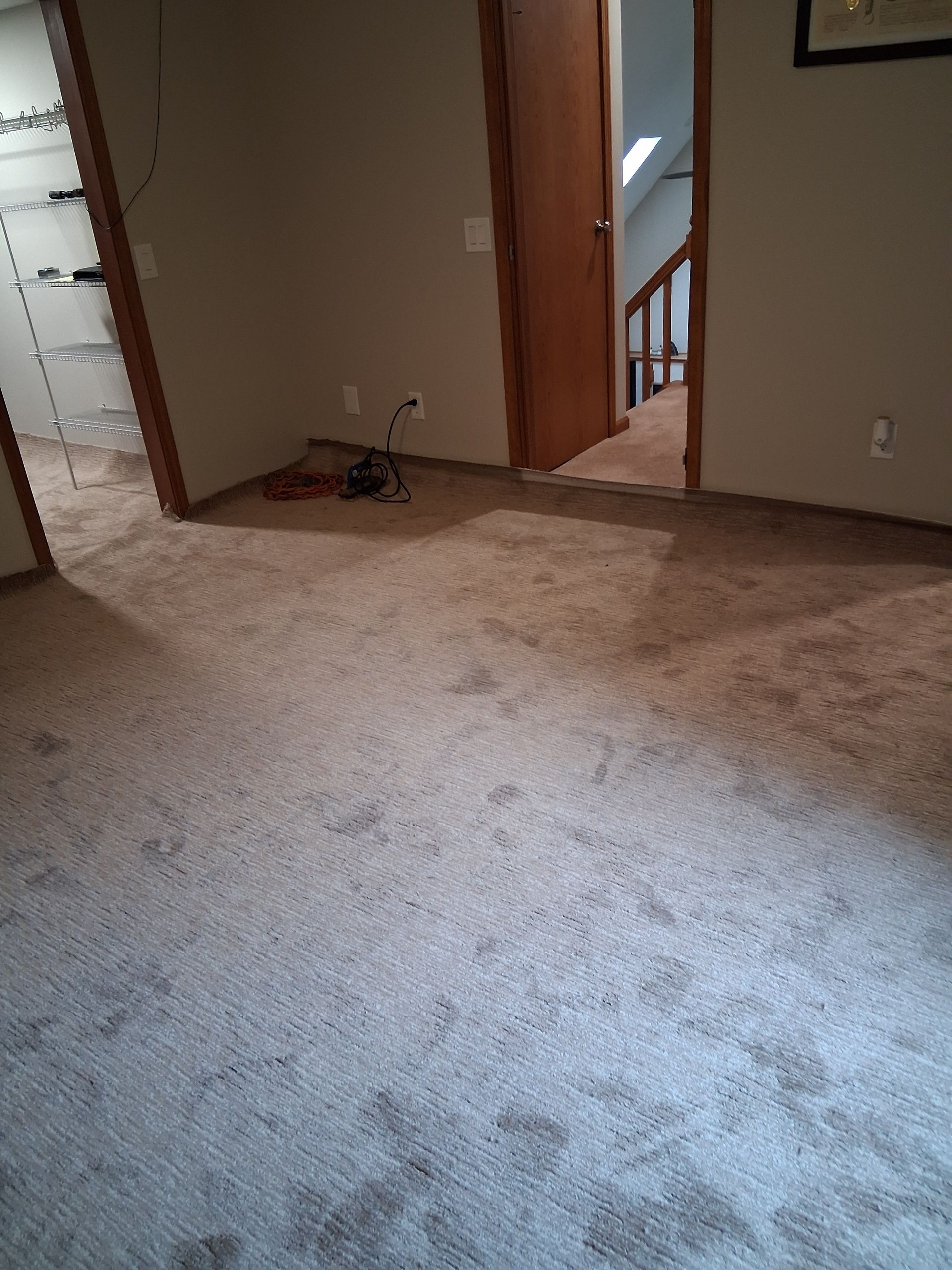 Beige carpeted room with three doors and stairs visible. Brown stains are scattered on the carpet.