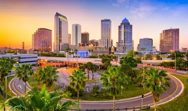All of Tampa 
