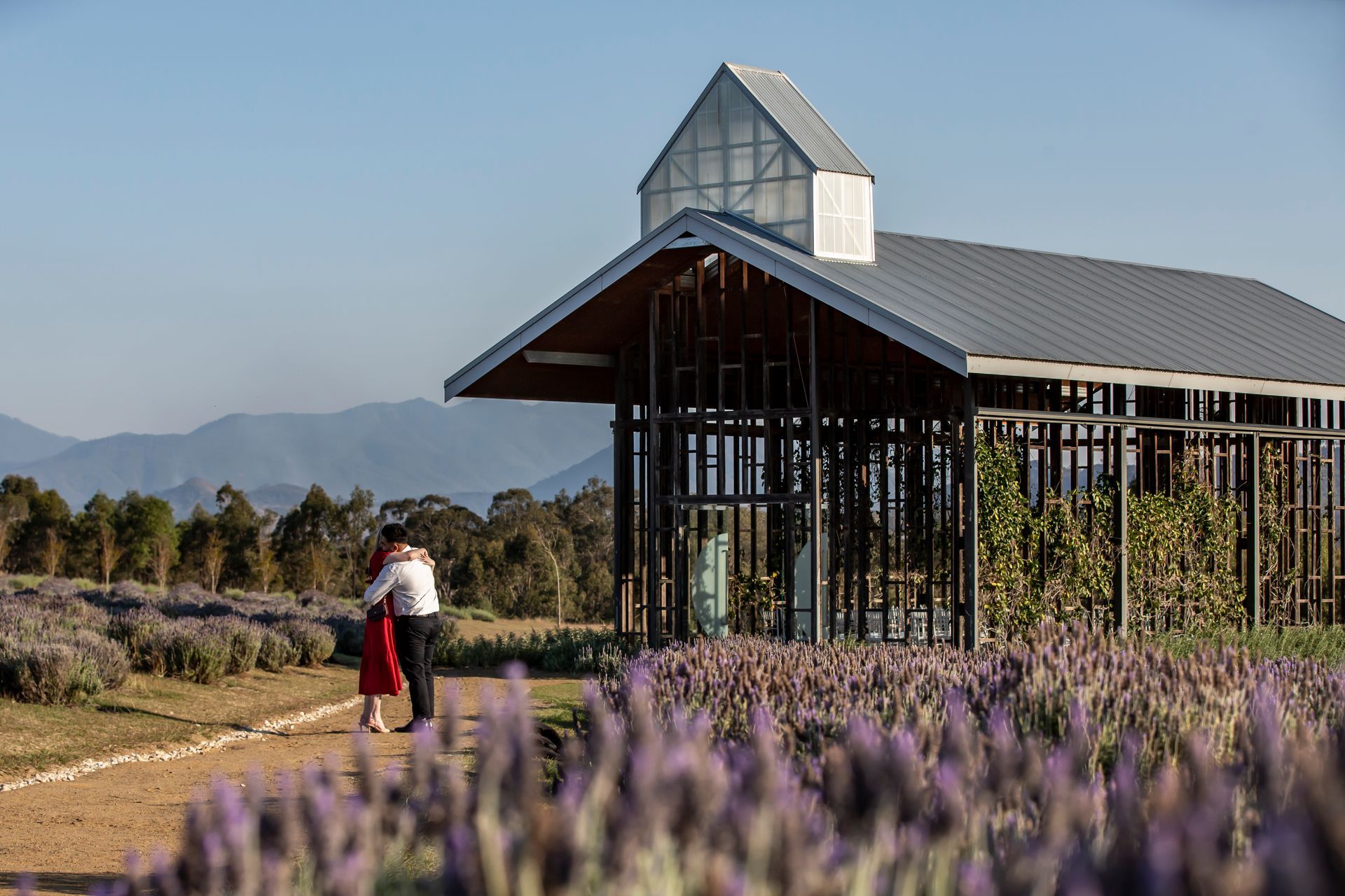 Couple embracing near chapel in lavender field with mountains in background.