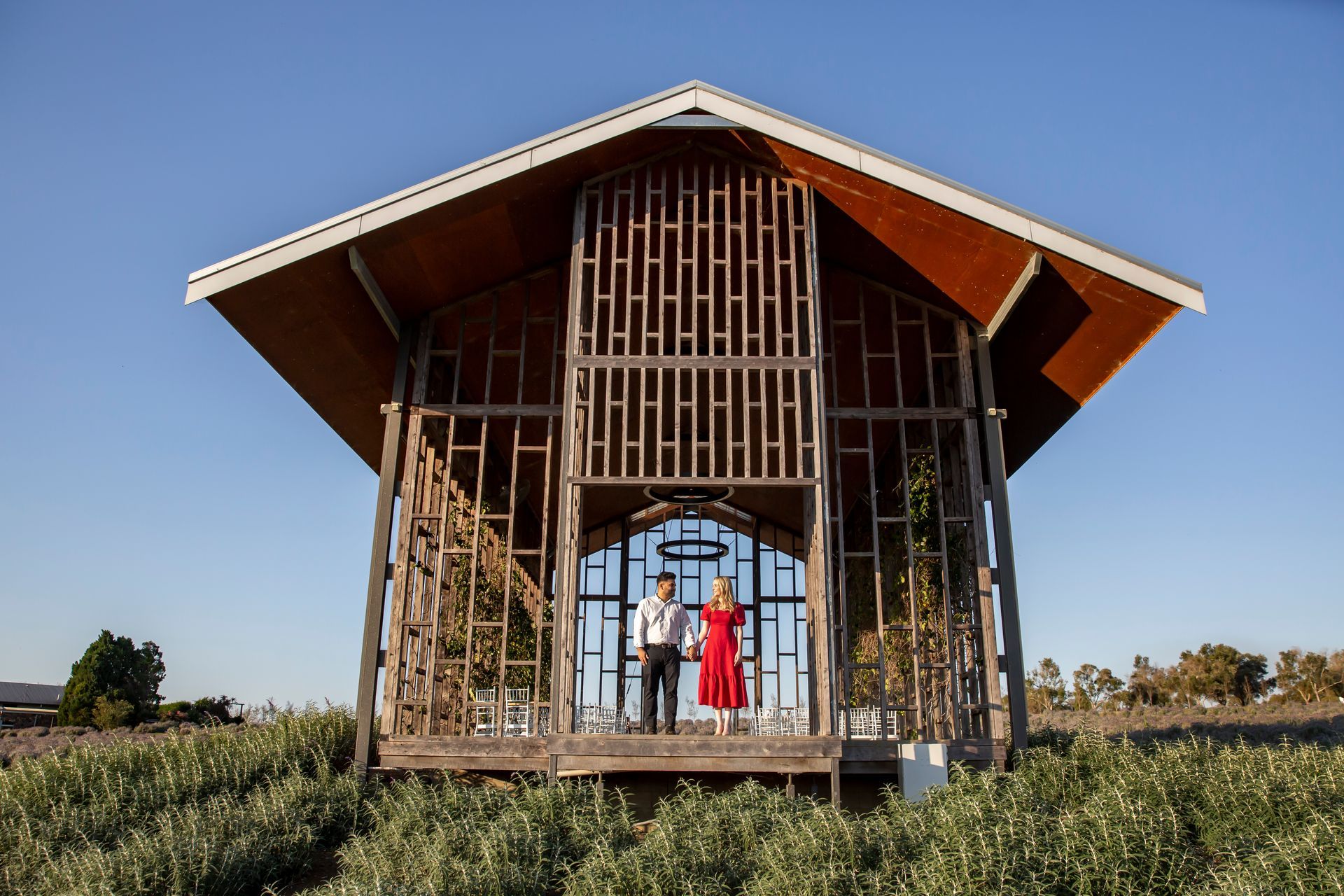 Couple stands in wooden structure surrounded by plants, bathed in sunlight.