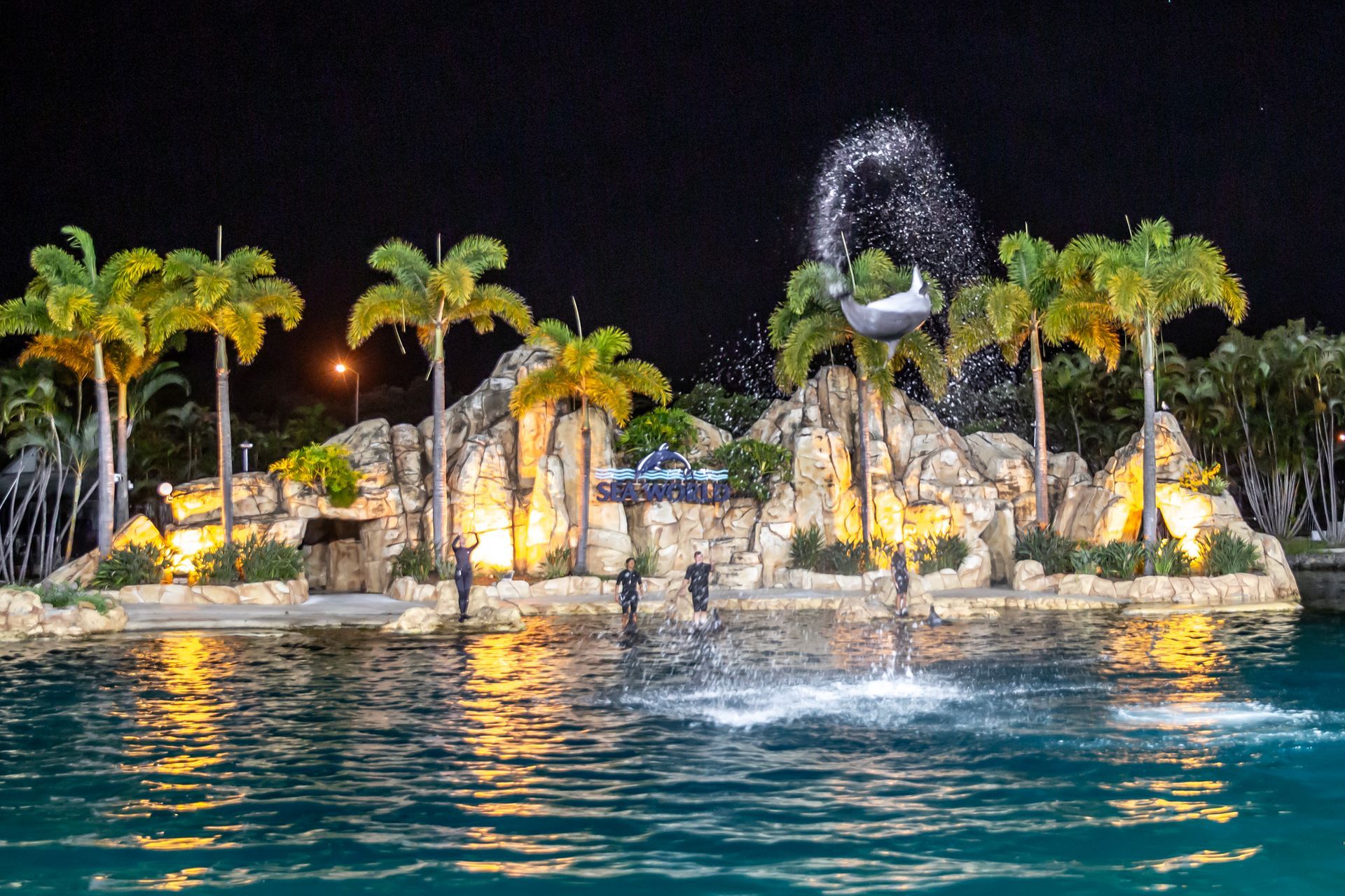 Night scene with dolphins performing in a pool surrounded by a rock structure, palm trees, and bright lights.