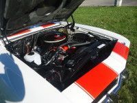 Open car hood revealing a white engine bay with red racing stripes.