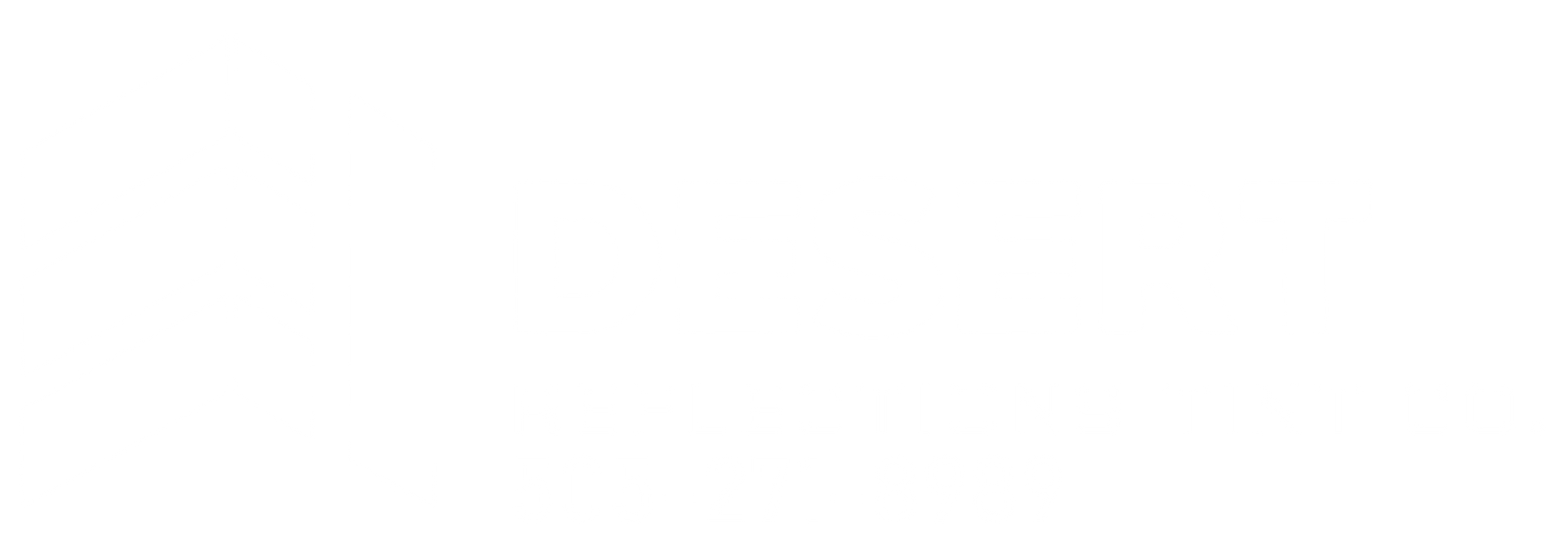 desert reflections tint co. logo