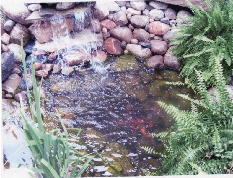 A small pond with a waterfall in the background
