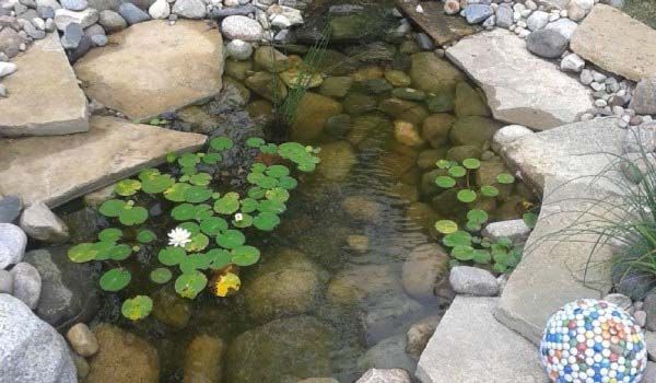 A small pond surrounded by rocks and water lilies.