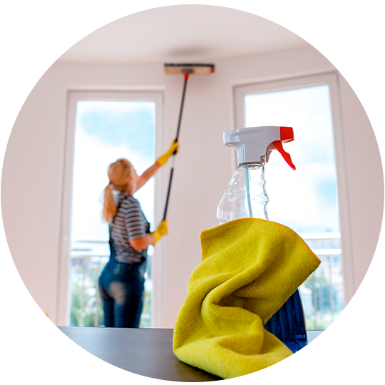 Residential Pressure Cleaning — Cairns, QLD — Abelia Cleaning