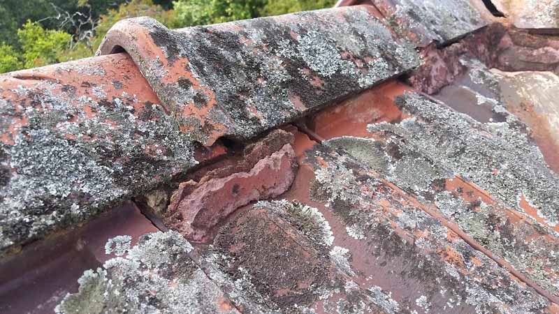 close up of damaged roof