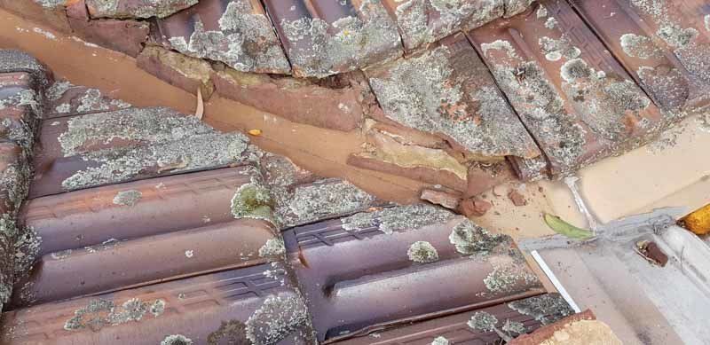 damaged roof