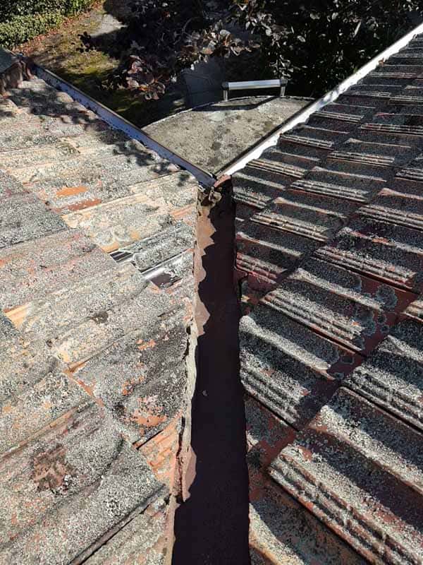 roof in need of repair