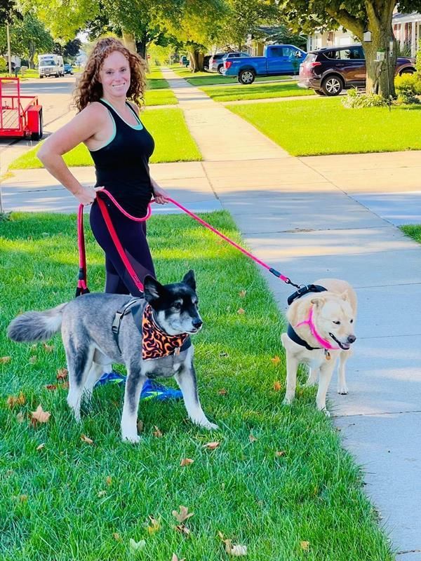 A woman is walking two dogs on leashes in a park.