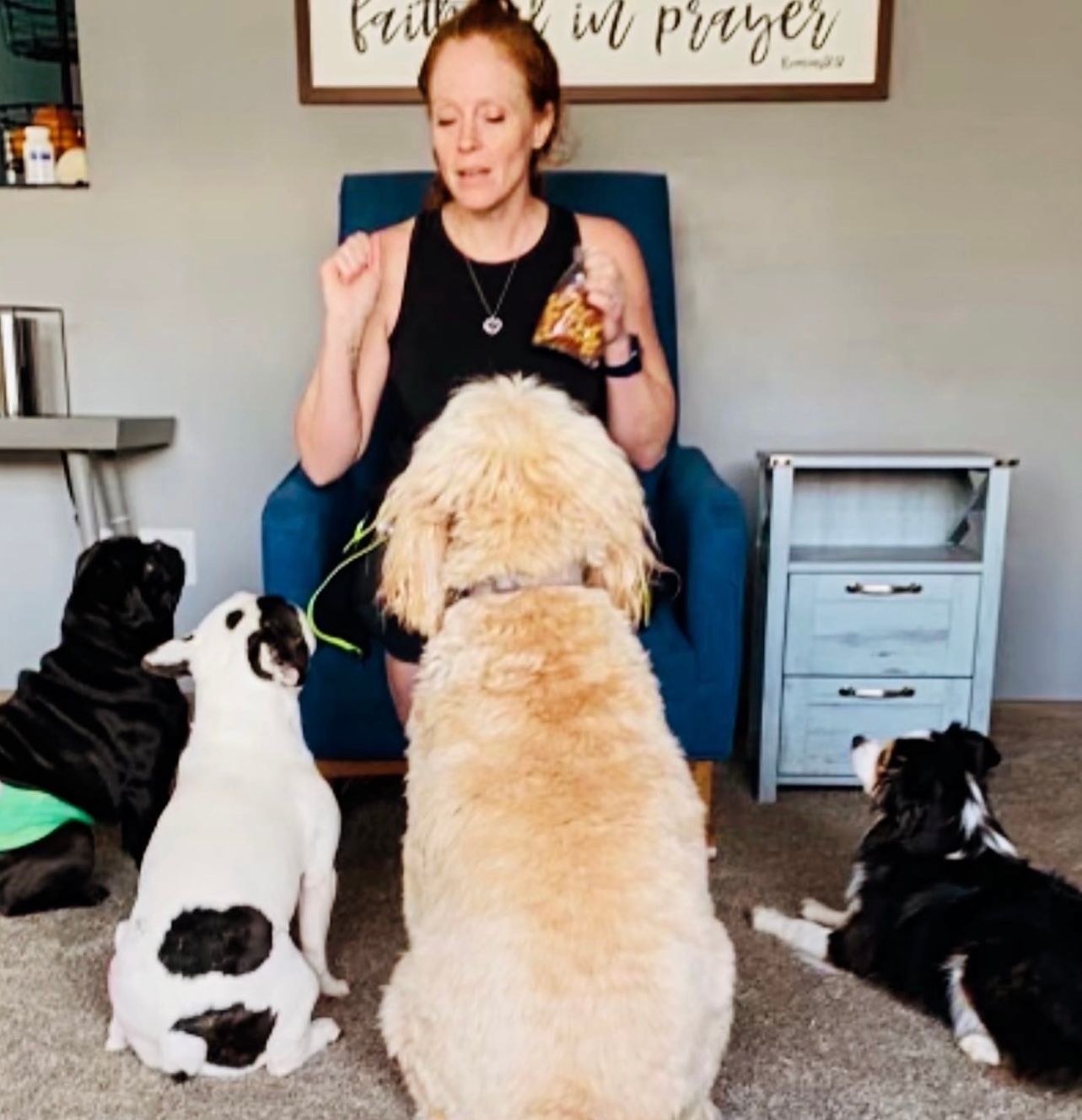 A woman is sitting in a chair surrounded by dogs