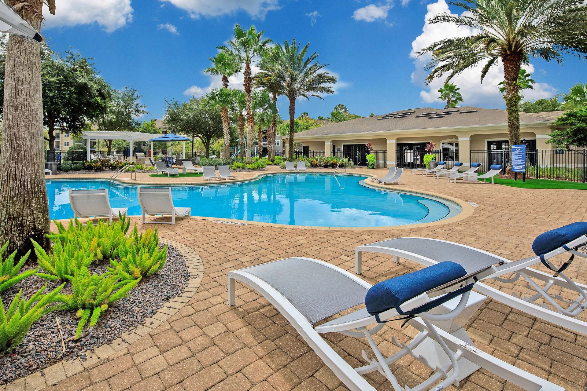 A large swimming pool surrounded by chairs and palm trees