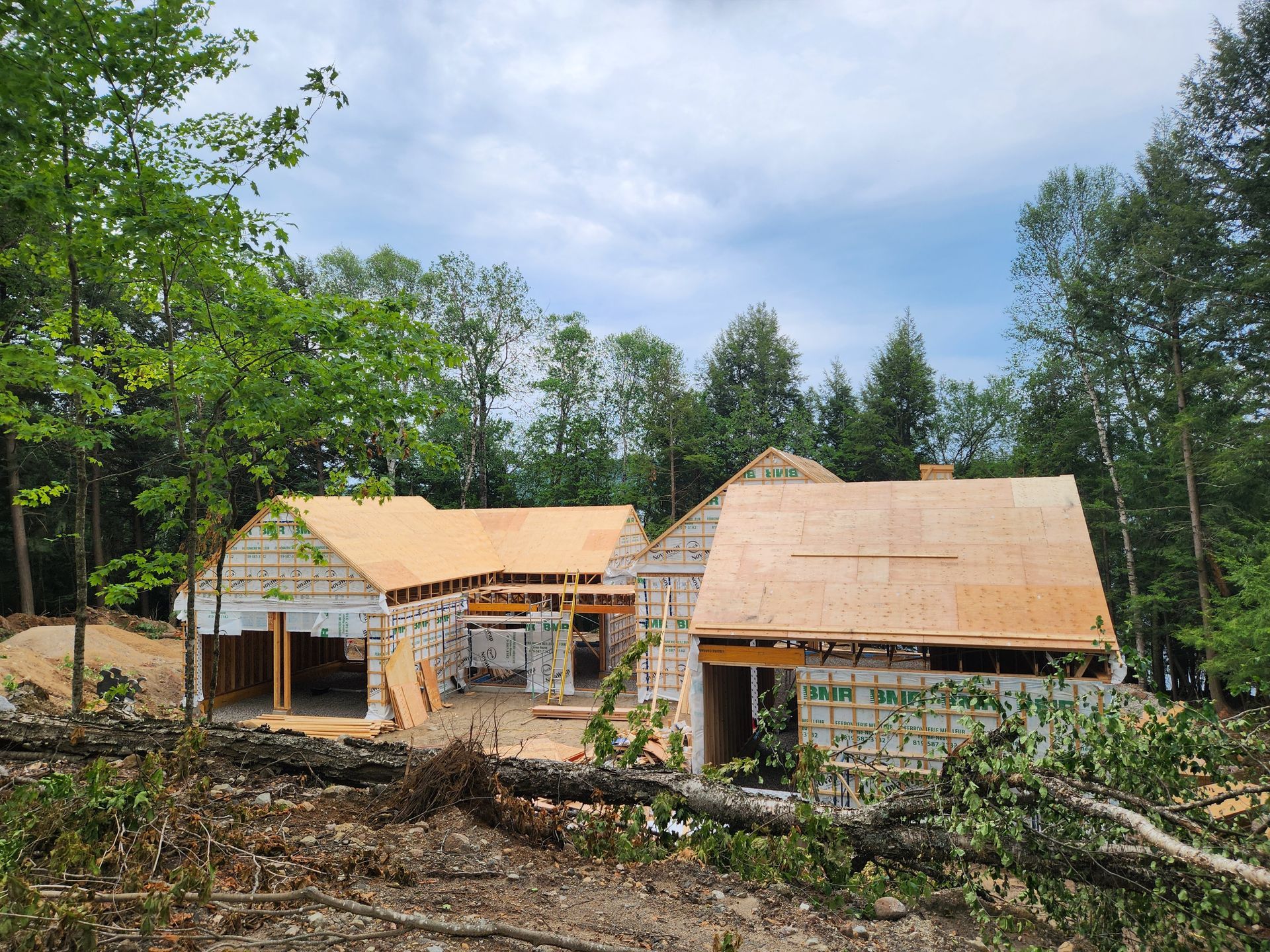 Une maison est en construction au milieu d'une forêt.