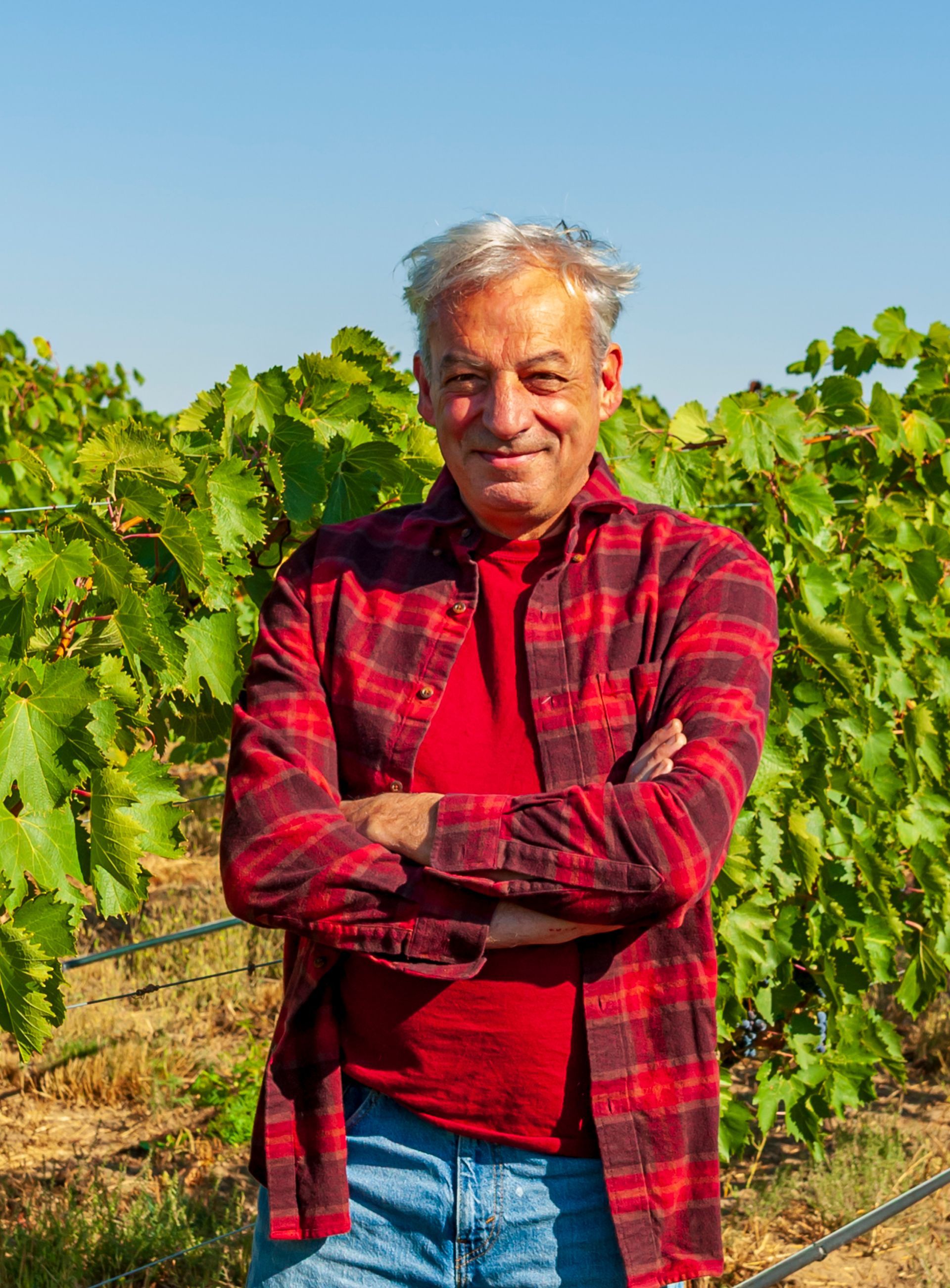 Serge Laville in a green sweater smiling in vineyard.