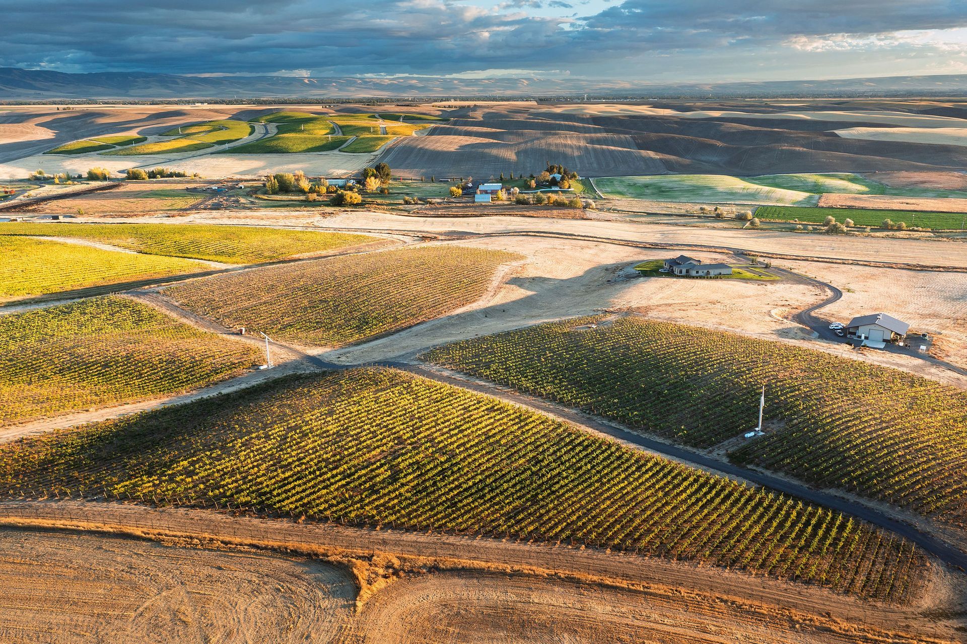 Reali Family Vineyard in Walla Walla