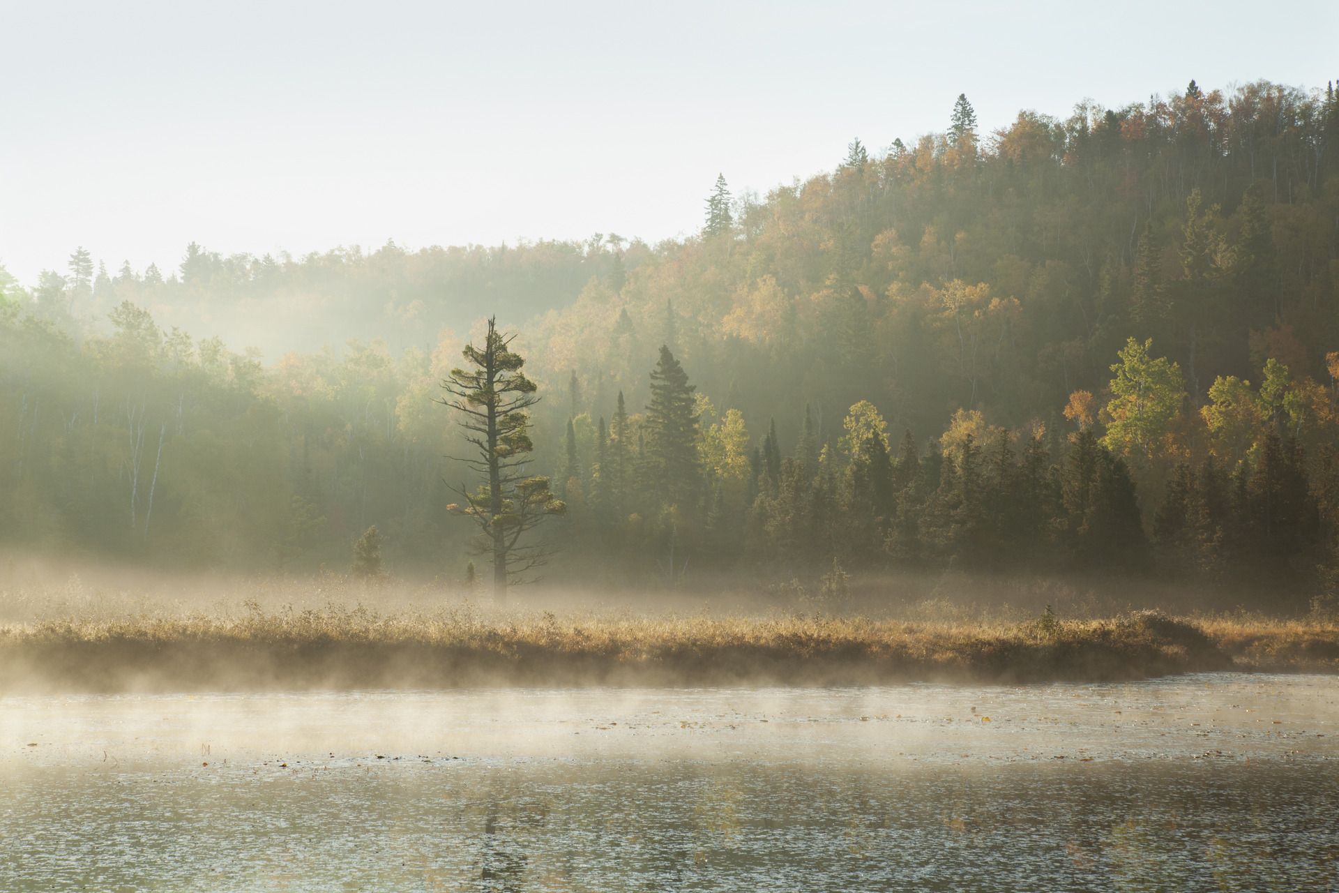 A large office building with a lot of windows on a sunny day.