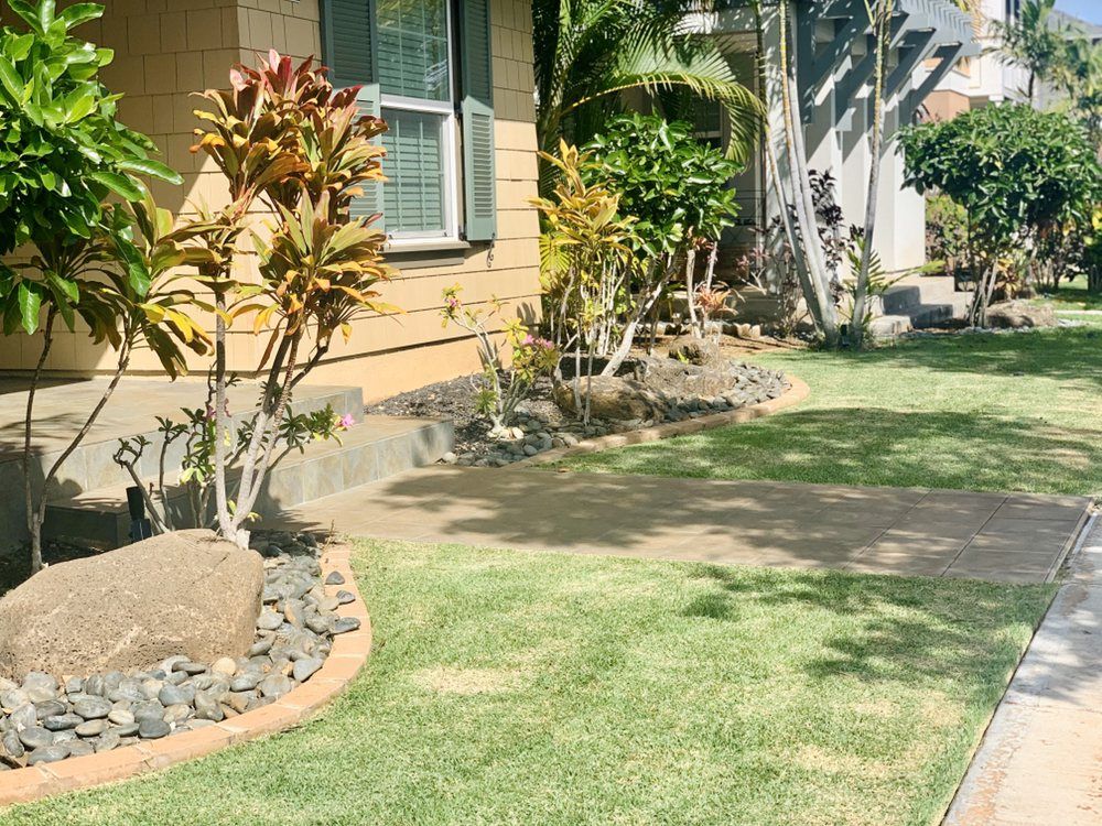 a house with a lush green lawn and trees in front of it .