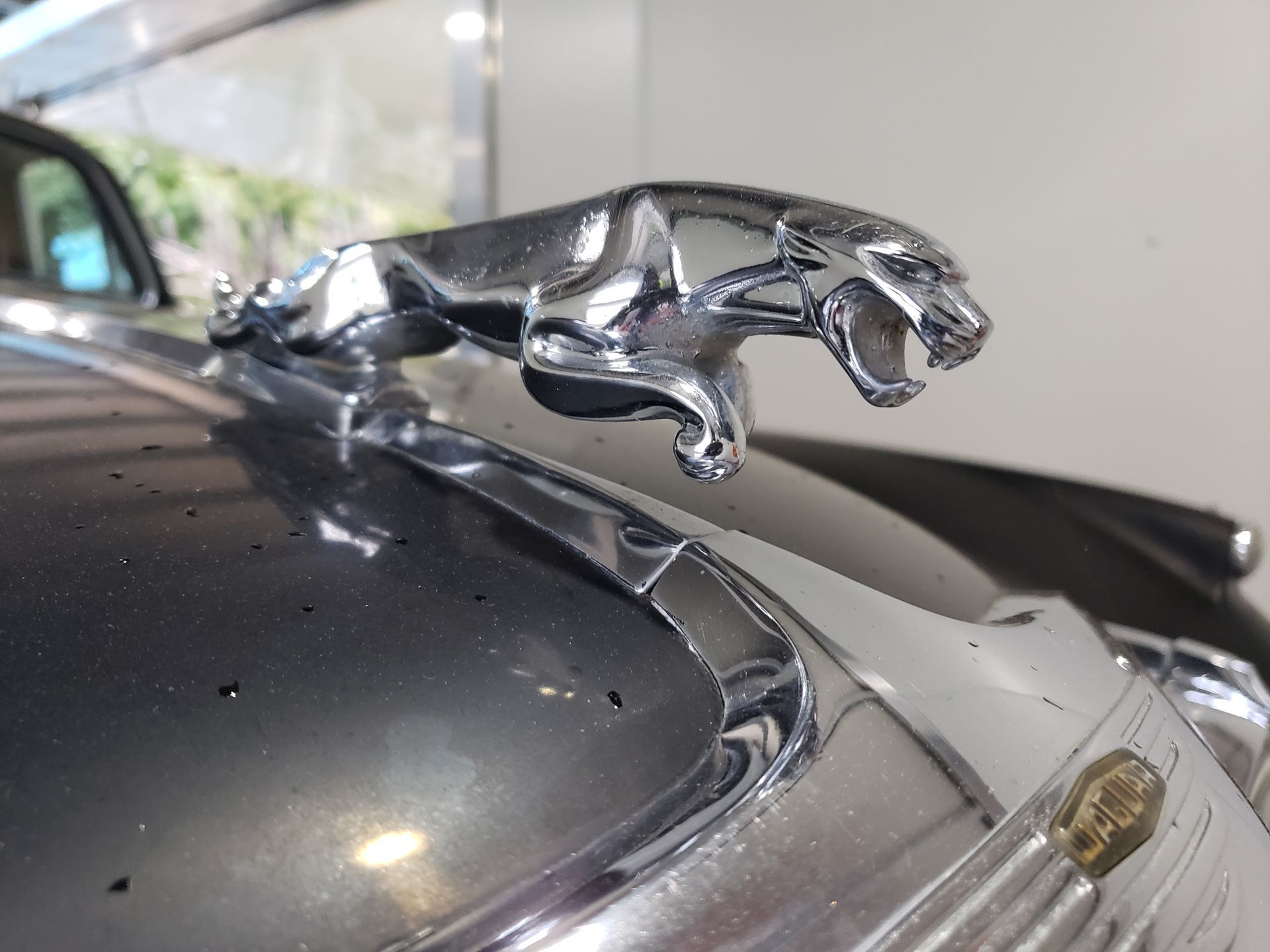 A close up of a jaguar hood ornament on a car