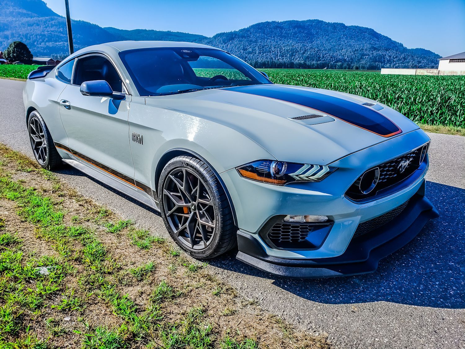 A ford mustang mach 1 is parked on the side of the road.