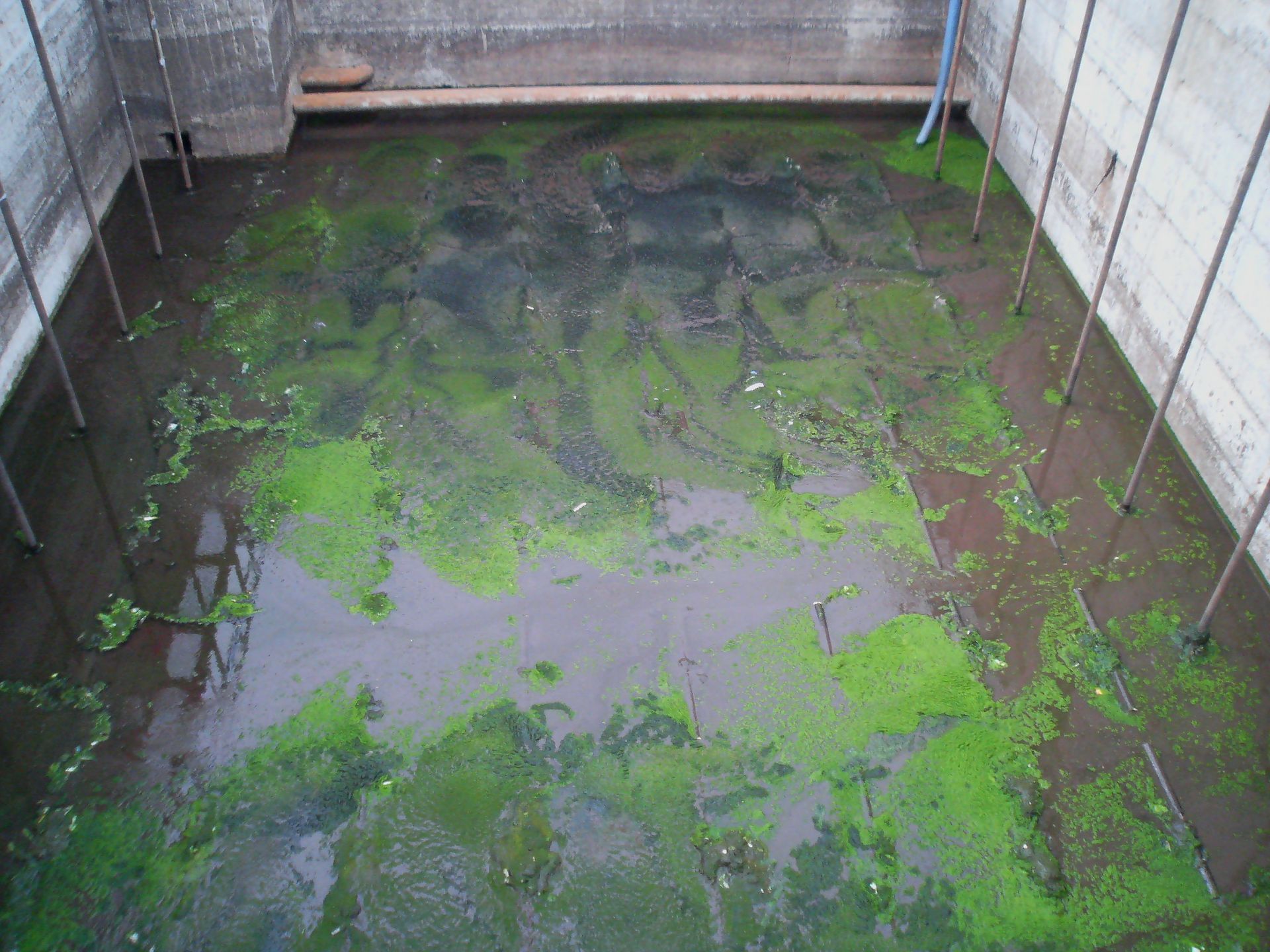 operazione di pulizia impianto di depurazione