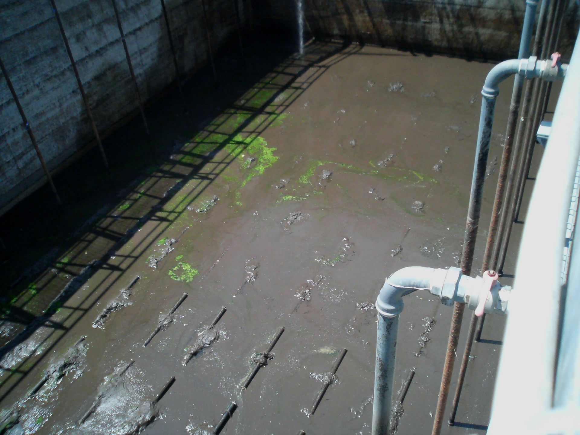 manutenzione depuratore acqua