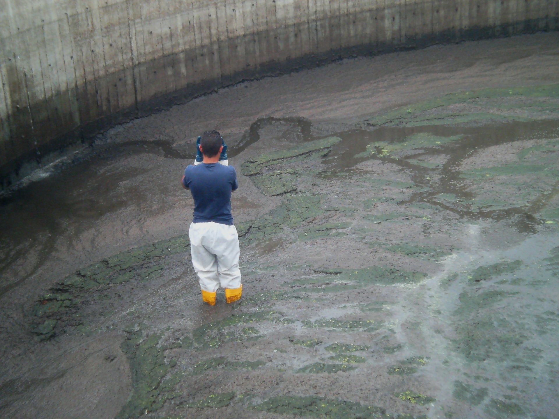 manutenzione depuratore acqua