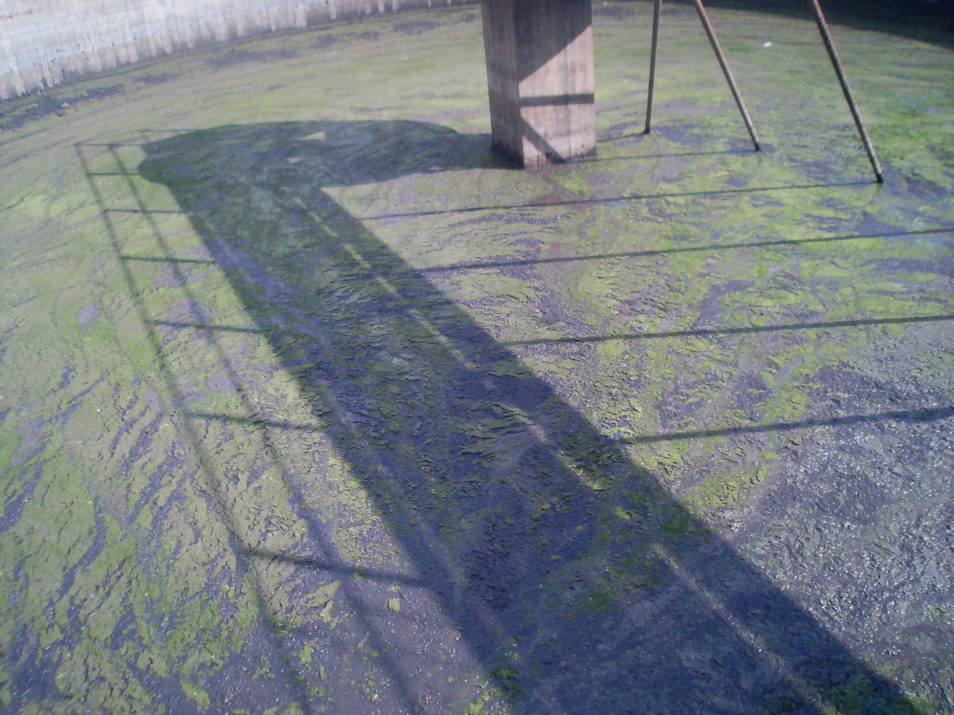 operazione di pulizia impianto di depurazione