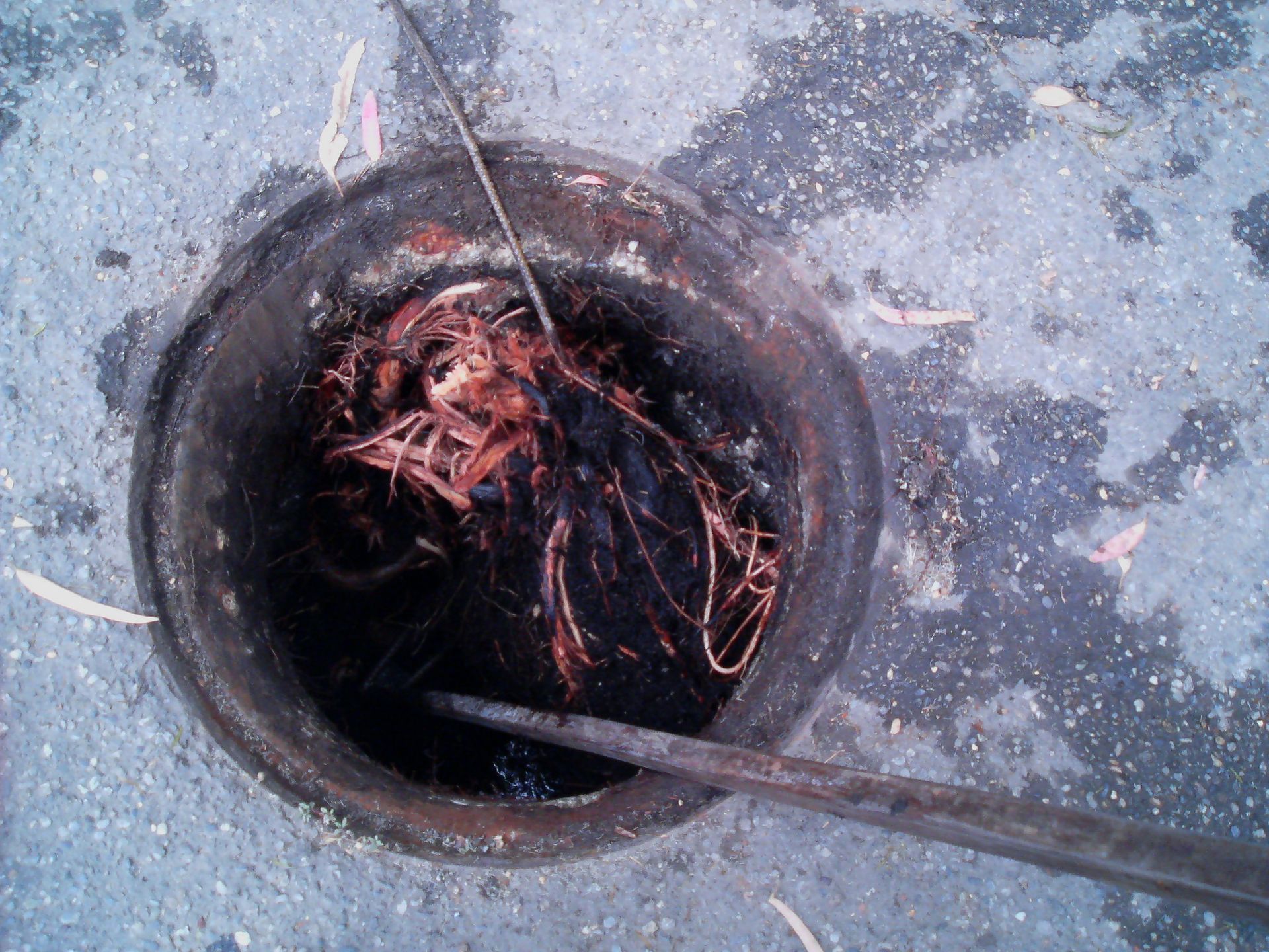 operazione di pulizia fosse