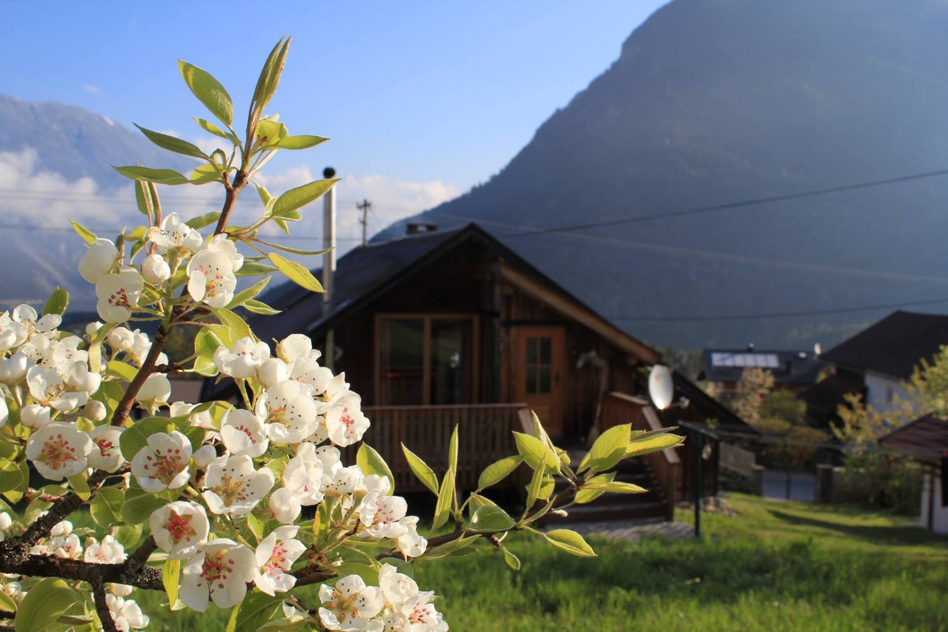 Spring in Sautens