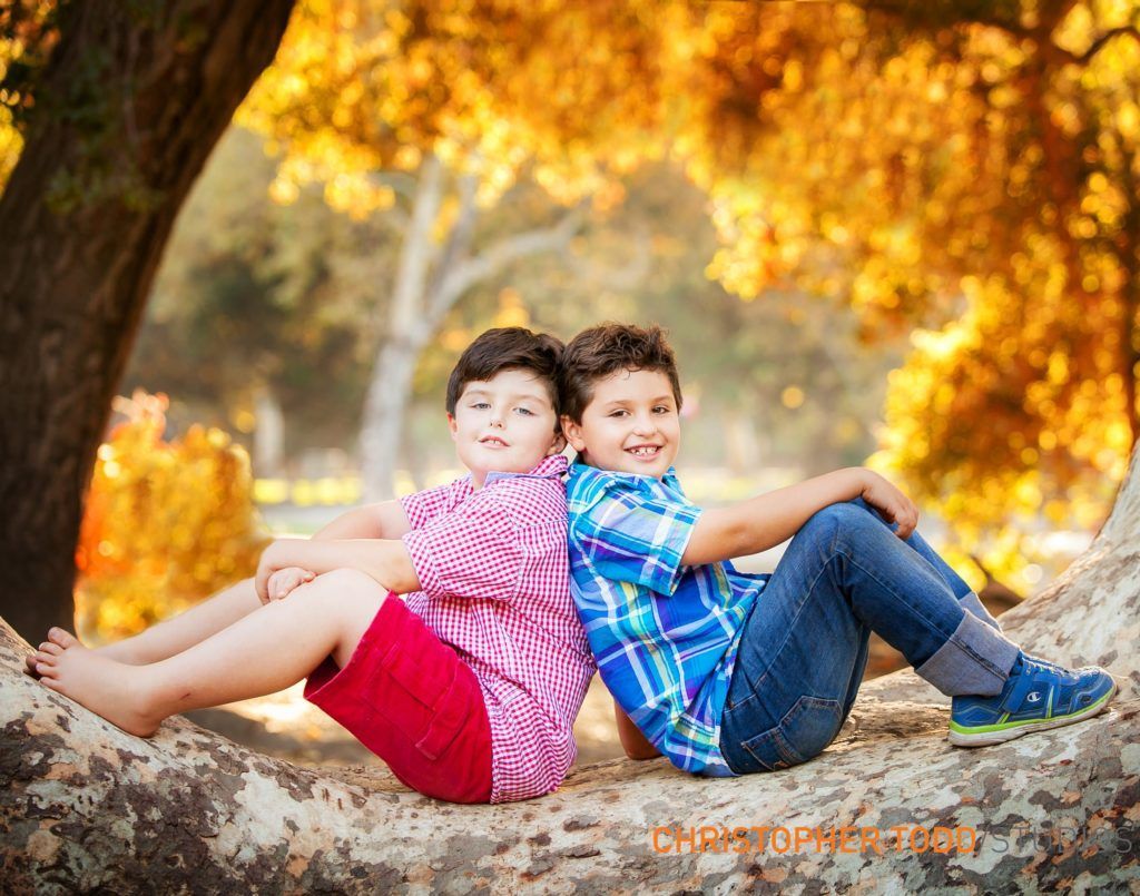 Irvine Regional Park Family Photo Two young brothers are sitting back to back on a tree trunk.