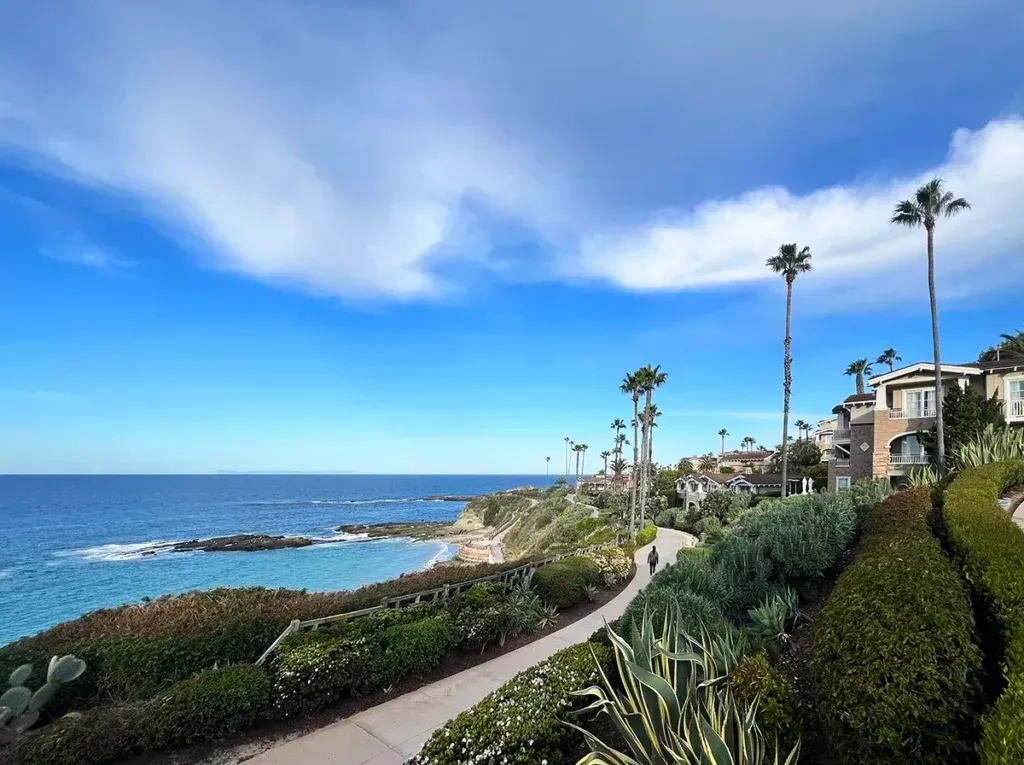 A path leading to the ocean with palm trees and houses in the background.