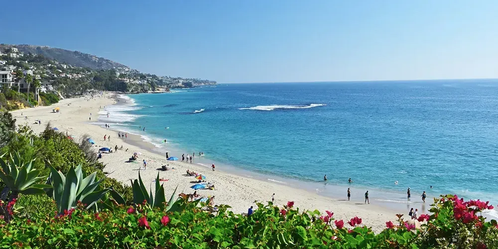 Laguna Beach with a lot of people on it and flowers in the foreground.